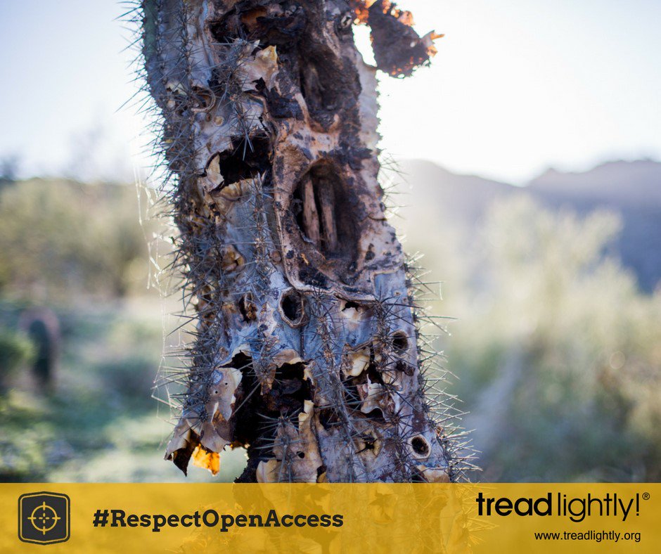 forestservice's tweet photo. Shooting buildings, signs, trees and other living objects is unlawful and makes all shooters look bad. Learn how you can #RespectOpenAccess https://t.co/jYBO2xx3ie