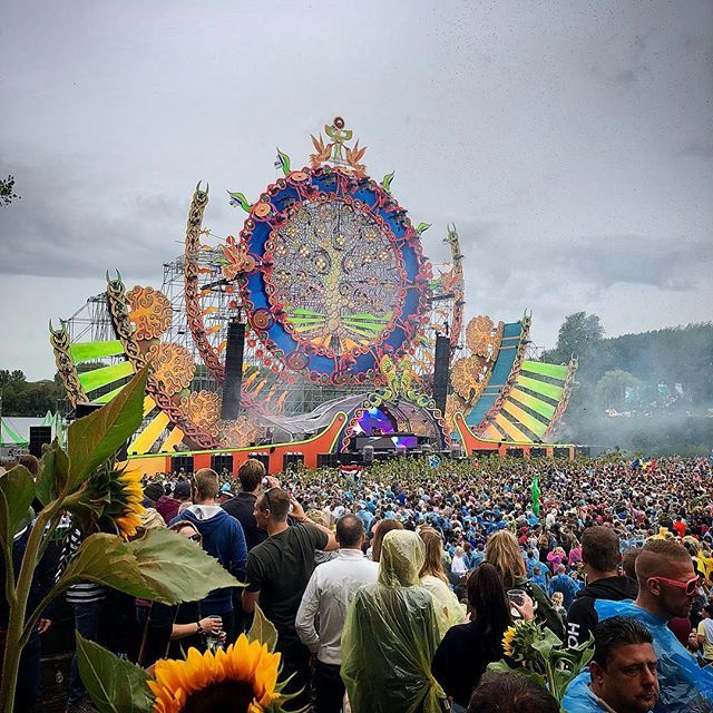 denisdoeland's tweet photo. Let the sun shine ... sunflowers everywhere ... @samfeldtmusic at @mysteryland_official #ml2018 https://t.co/M5kvKhFCig https://t.co/kUjDdrGUJu
