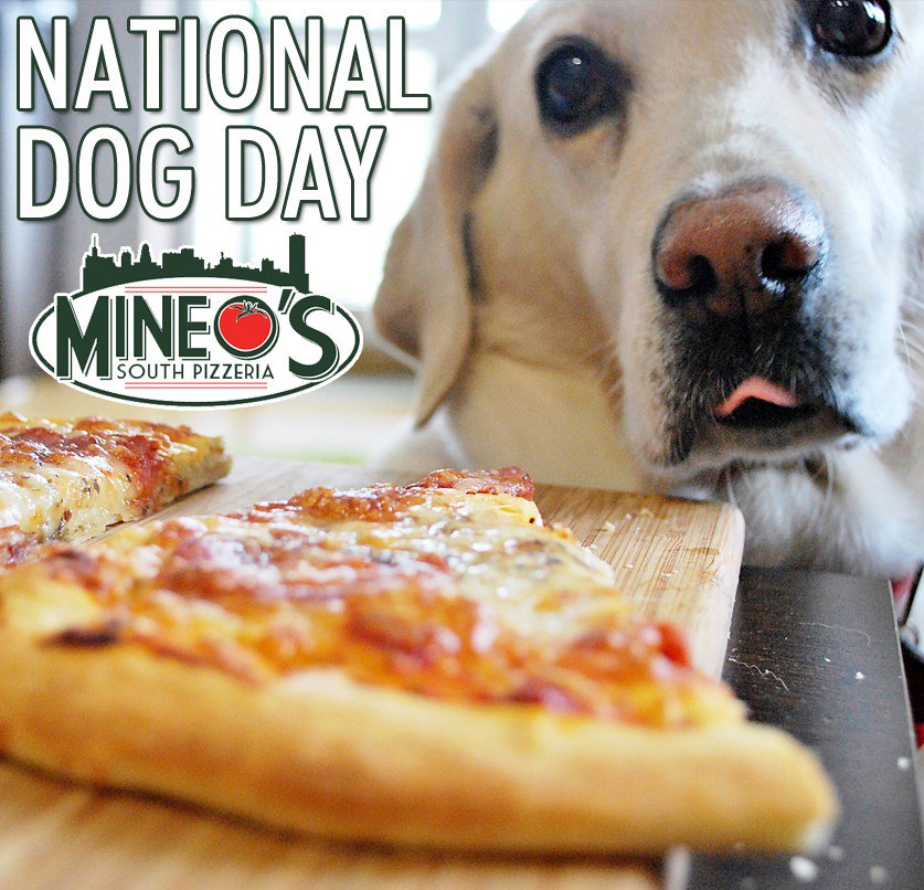 MineosSouth's tweet photo. Happy National Dog Day! https://t.co/5FTPhQiDyO