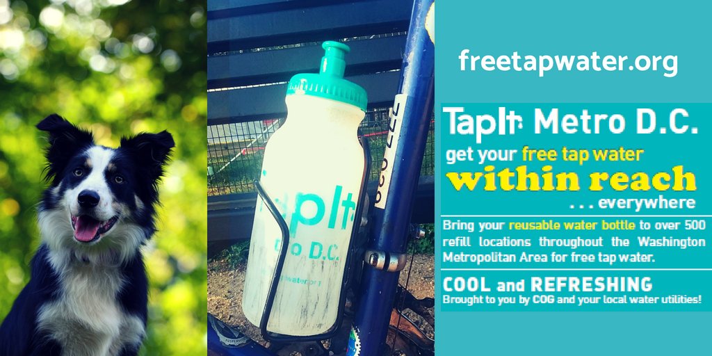 TapItMetroDC's tweet photo. Revel in summer ☀️
w/ your best friend 💙
Keep both of you hydrated with our app💦
https://t.co/hZddG0qQAK #DrinkTap #NationalDogDay https://t.co/SjtpLvtujC
