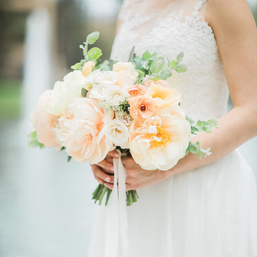 JulepBloom's tweet photo. Dreaming of peony season...until we meet again ✨🌸✨ https://t.co/5LoZDYXRL6
