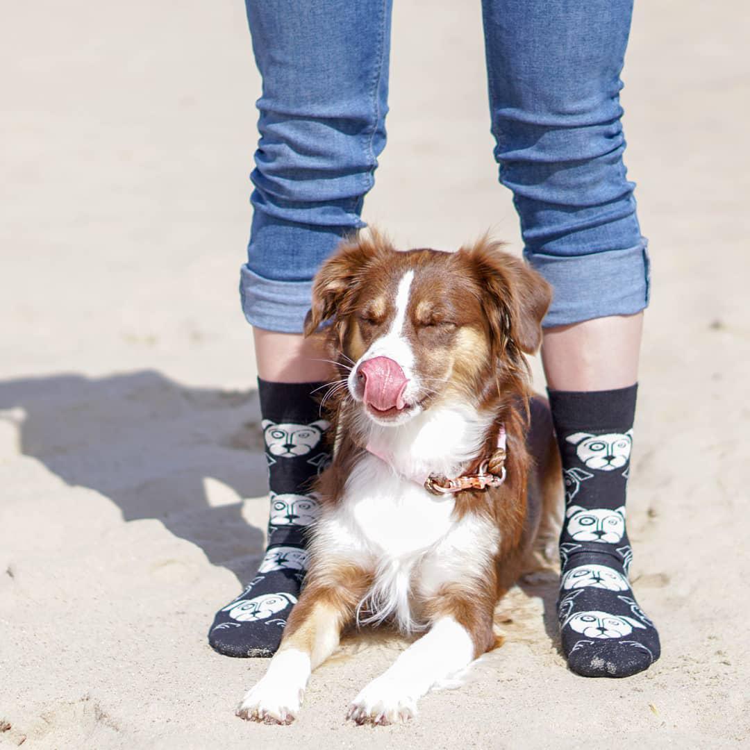 HappySofficial's tweet photo. 🎉 #GIVEAWAY 🎉

For a chance to #win our #Dog socks for yourself and a friend: 
– RT + Like + Follow
– Share a photo with your furriend and tell us why they are the best! 🐶

Winners announced 28th of August.
T &amp; C: https://t.co/tMOw6kvI7l  

Good luck!
📷@faytastic_dog #DogDay https://t.co/wPN2tw6fWQ
