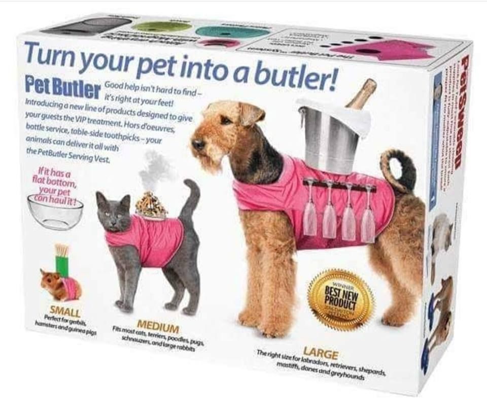 RockonrubyLtd's tweet image. TAKE OUR MONEY!!!!!!!!!!!!! #dogbutler #doggo #pupper