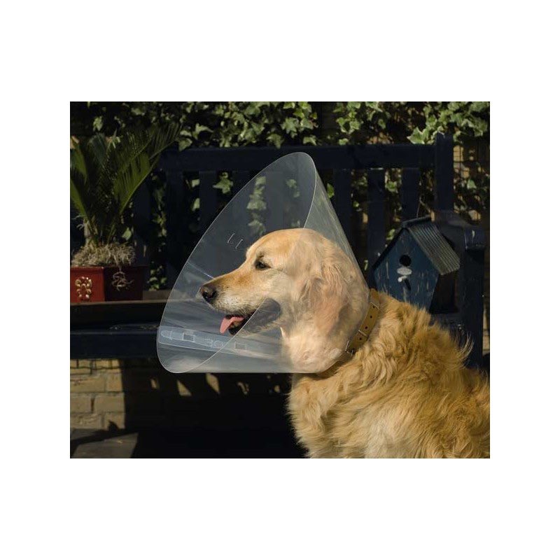 solostatic's tweet image. Wie in #bussum heeft een #hondenkraag te koop of te leen voor Ockke? Het is nu zondag 26 aug en hij heeft net een wond opgelopen... graag bellen met 0653172020, bij voorbaat dank!!