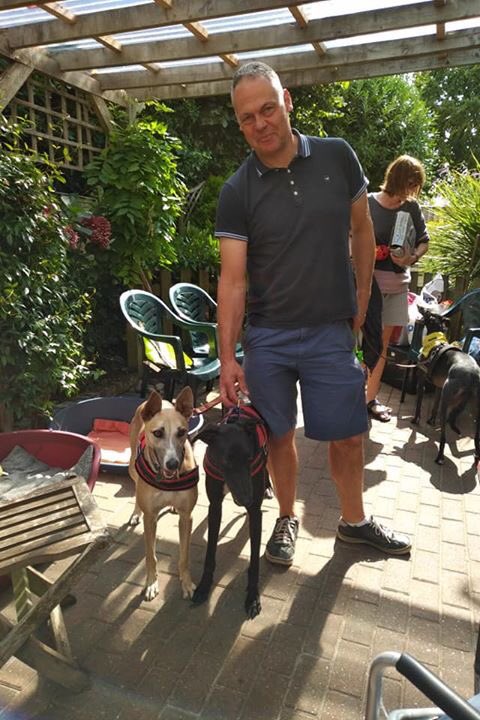 norfgreyhound's tweet photo. Wow! Smooch’s new owners came to collect their new houndie (to join Indie who they adopted last year. They met Blondie and decided to take her as well! Quickest adoption ever!!! #greyhoundrescue #whippet #lurcher #threeisnotacrowd https://t.co/46NLV44sYc
