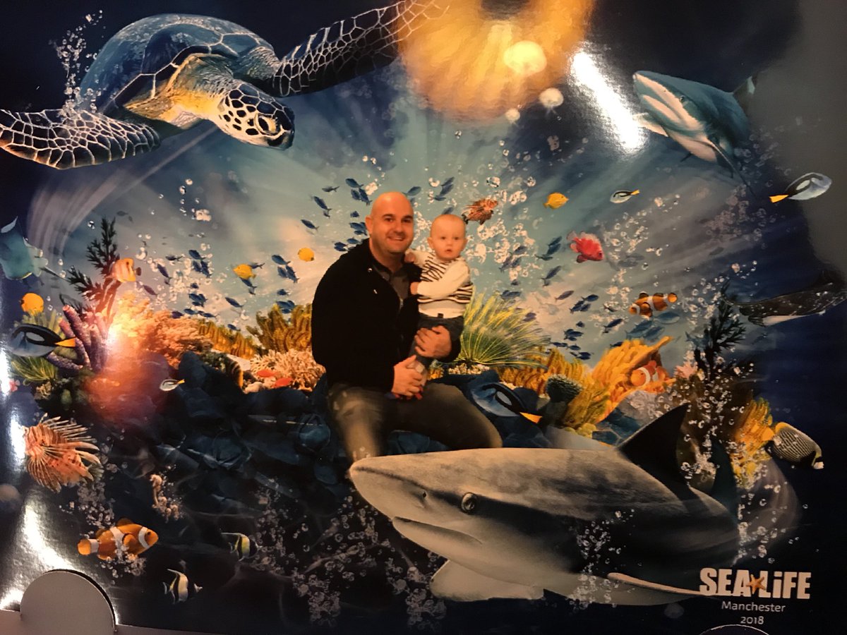 andykphillips's tweet image. Love spending time with my boy! Best thing in the world seeing him smiling and happy. We had a fun day, well I did anyway 😂! #sealife #ladsdayout #wecaughtashark #tampopo