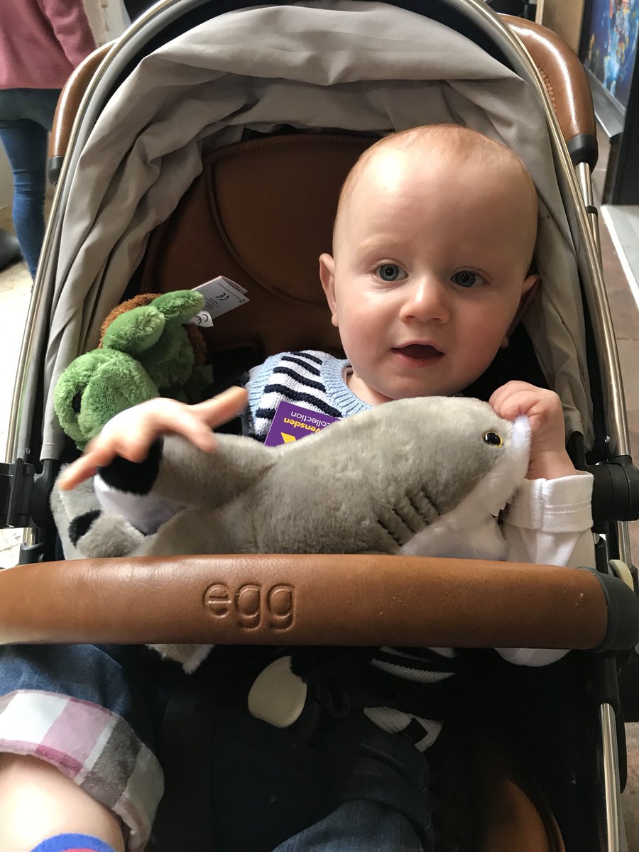 andykphillips's tweet image. Love spending time with my boy! Best thing in the world seeing him smiling and happy. We had a fun day, well I did anyway 😂! #sealife #ladsdayout #wecaughtashark #tampopo