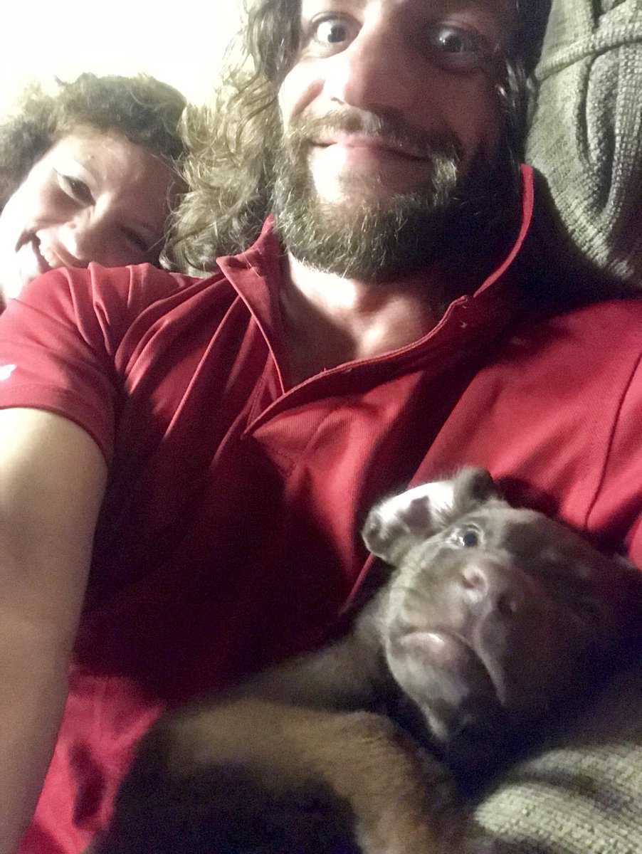 bryfone's tweet photo. ❤️ Happy #NationalDogDay! 
@Bartocha69 #Halsey ❤️
❤️ #goofy #happy #family 
#love #chocolatelab ❤️
❤️ #workhardplayhard https://t.co/vkYLLJGcsi