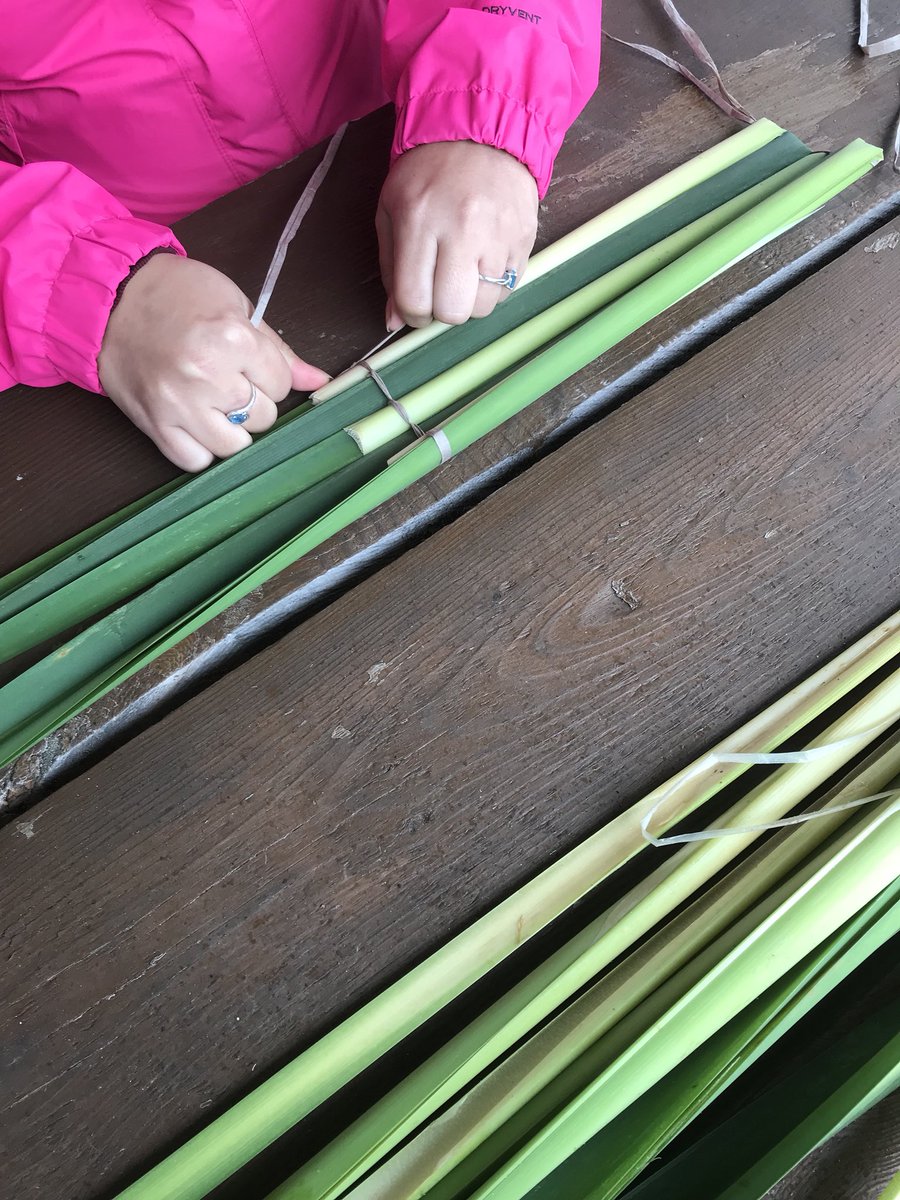 SecwepemcStrong's tweet image. #Secwepemc Summer Gathering- getting our #CreativeNative  #traditionalknowledge crafting on- making bullrush mats. DYK  you make them w/fresh bullrushes &amp;amp; when they dry, they tighten up? Used for our summer houses, berry drying &amp;amp; in sweat lodges #SecwepemcStrong #Secwepemculecw