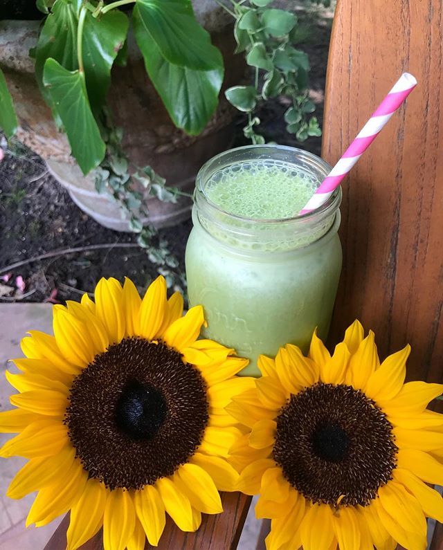 Oh you Matcha this is an amazing smoothie.🌻💚🍃🥒#greensmoothie #matcha #matchagreentea #matchapowder #proteinsmoothie #vegetarianprotein #cucumber #spinach
.
.
.
#wholeyfitnutrition
#feelbetterinyourbody
#healthcoach
#wellnesscoach
#iinhealthcoach
#goa… ift.tt/2wdfTtI