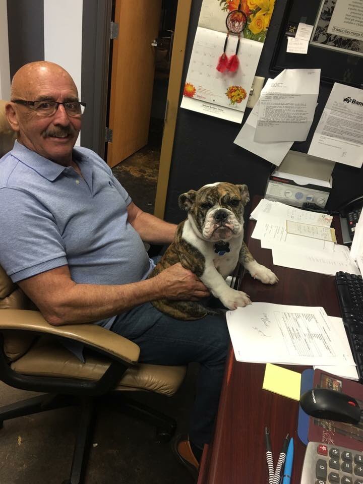 Happy National Dog Day🐶 #bulldog #im4al #voteformydad #nationaldogday #englishbulldog #voteontuesday