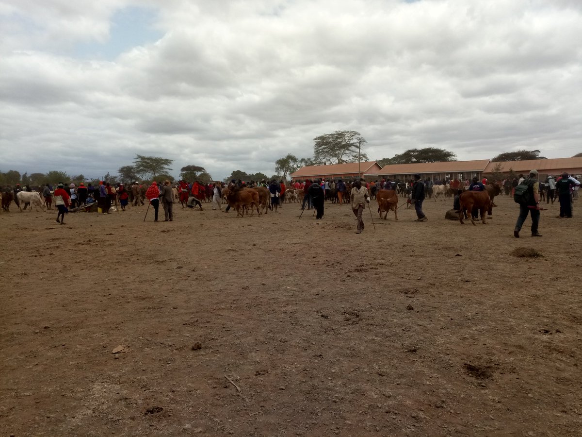 One Health Club-UoN (@ohc_uon) on Twitter photo The #OHDemosite2018 participants got a chance to visit the local animal markwt. They identified #OneHealth related problems with intent of coming up with interventions <a href="/OHCEA_/">Ohcea</a> <a href="/OneHealthW/">One Health Workforce</a> <a href="/ChrispineAguko/">Aguko C. Juma</a> <a href="/papa_ofwete/">Robert Ofwete</a> @Mohamedk_Rashid <a href="/mnattimba/">Miriam Nattimba</a> <a href="/williambaz/">williambaz</a> The #OHDemosite2018 participants got a chance to visit the local animal markwt. They identified #OneHealth related problems with intent of coming up with interventions <a href="/OHCEA_/">Ohcea</a> <a href="/OneHealthW/">One Health Workforce</a> <a href="/ChrispineAguko/">Aguko C. Juma</a> <a href="/papa_ofwete/">Robert Ofwete</a> @Mohamedk_Rashid <a href="/mnattimba/">Miriam Nattimba</a> <a href="/williambaz/">williambaz</a>