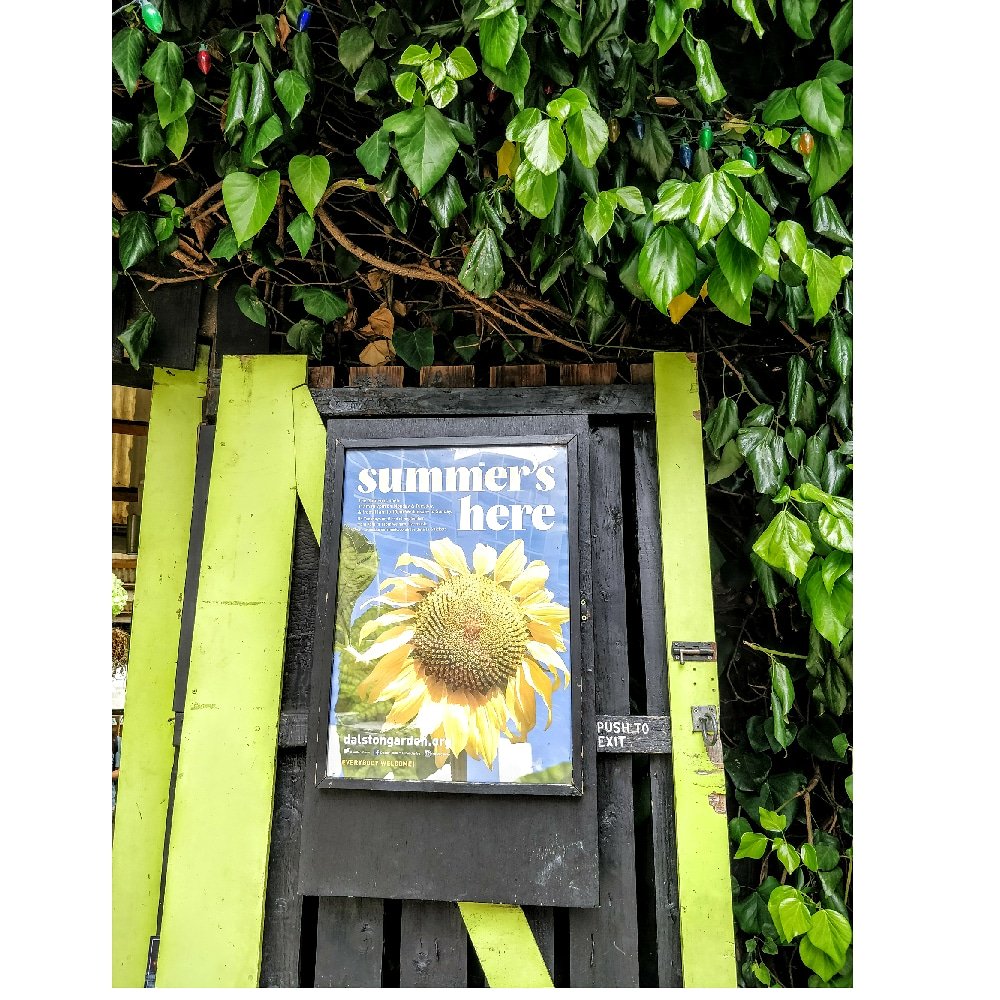 sandrakeating_'s tweet photo. It is still here!!! @EasternCurve summer poster. Quintessential #summer shot 📸 by me, poster by Brian #sunflower #blueskythinking #dontlistentotherainman https://t.co/k5y5WkWiHS