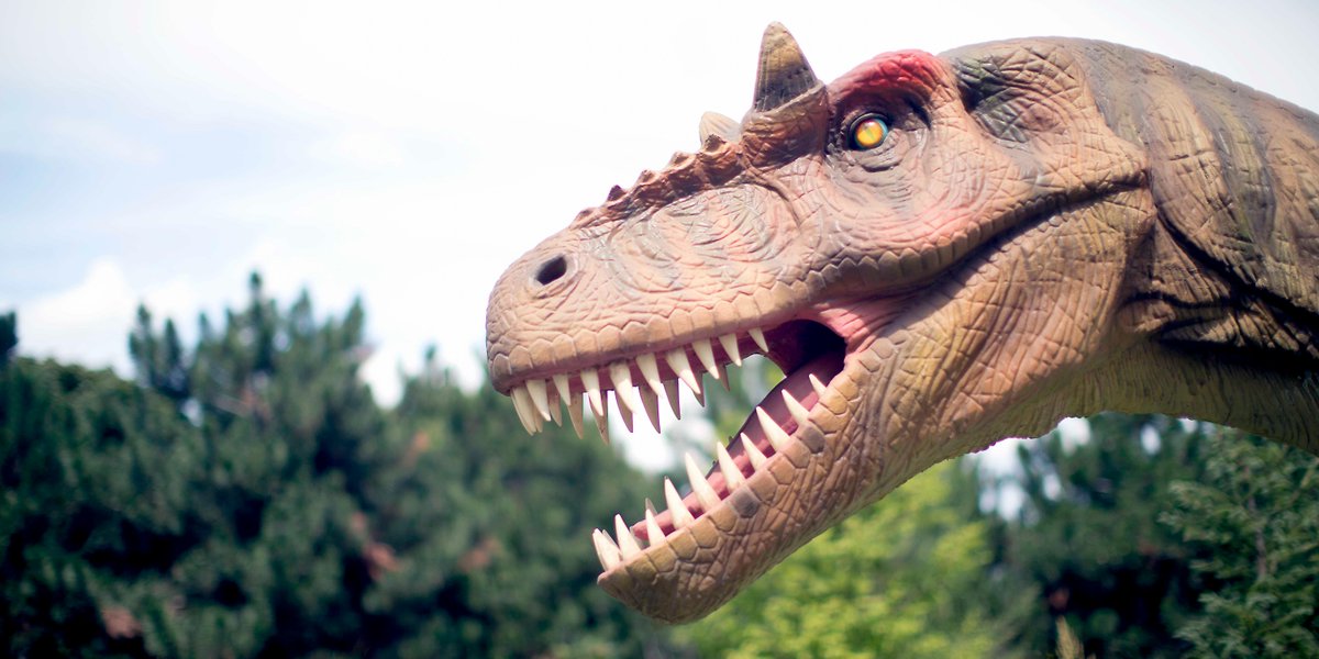 cedarpoint's tweet image. Time is running out! We are closing two attractions on September 3 🚫

Get your last spins on Witches' Wheel 🧙☸️ and your final trek through Dinosaurs Alive🦖🦕...before they're gone!