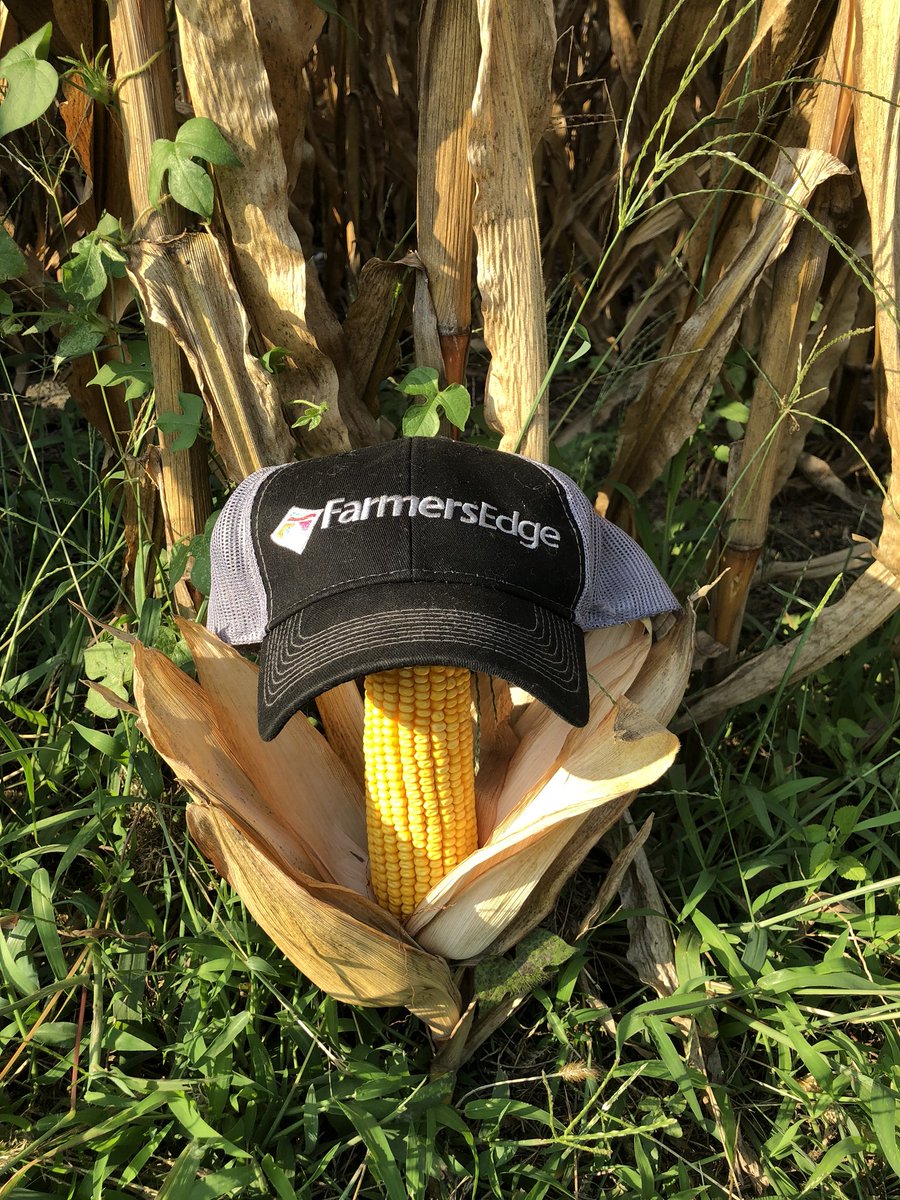#SmartFarmingIs...  stopping by booth 1311 <a href="/FPShow/">Farm Progress Show</a> and learning more about <a href="/farmers_edge/">Farmers Edge</a>!  We’ll teach you how to use our Harvest Maps for enhanced yield visualization!  Come farm smart with us!  #FPS18 #harvest18 #MyFarmCommand