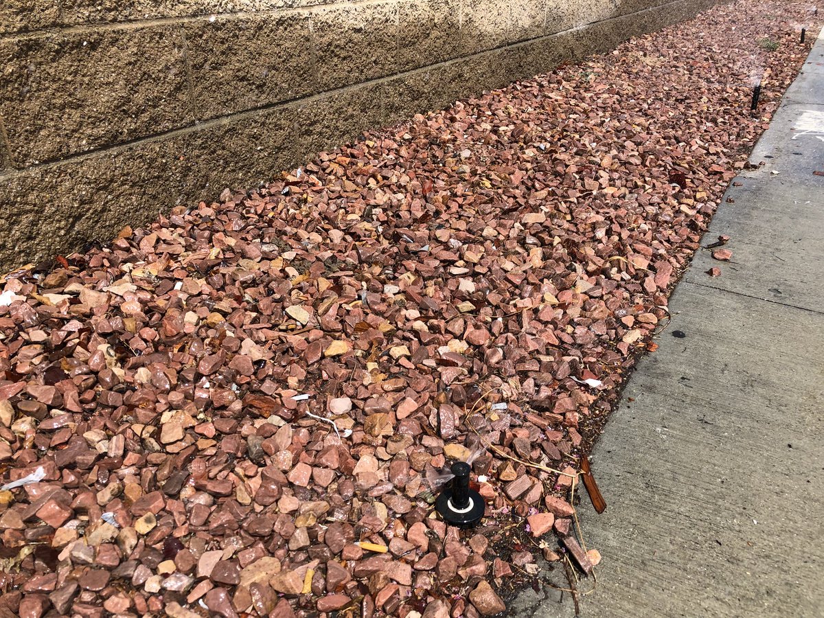 JoshMark's tweet photo. Sprinklers in front of @Target and @BurgerKing in Northridge, CA have been watering rocks for over an hour.  Rocks do not need to be watered. No one knows how to fix it. #drought #water #wastingwater @LADWP https://t.co/SYyQUB5fF1
