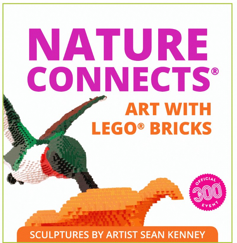 mytravels2's tweet image. See Award Winning #NatureConnects - #ArtwithLEGOBricks at the #SanAntonioBotanicalGarden. #GrandOpening #labordayweekend. #art #SATX ow.ly/GH7R30lyOwV