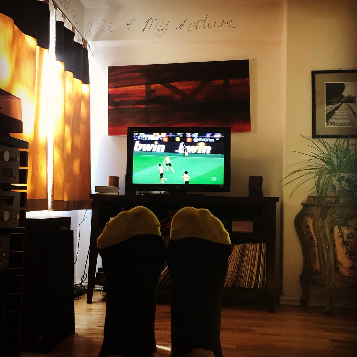 BVB USA tweet media