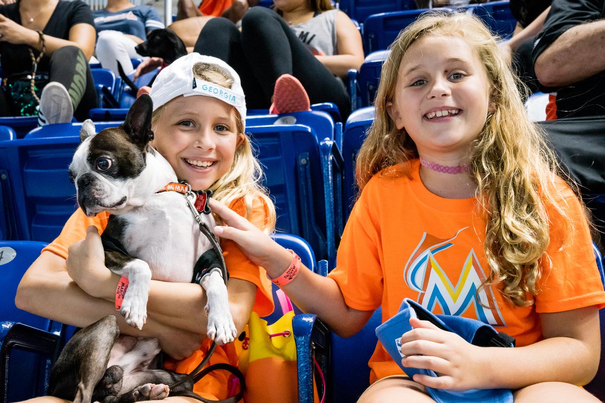 Miami Marlins on Twitter: "Big fans of Bark at the Park on #NationalDogDay. Big fans. 🐾🧡 https://t.co/mzpTBuuSE0" / Twitter