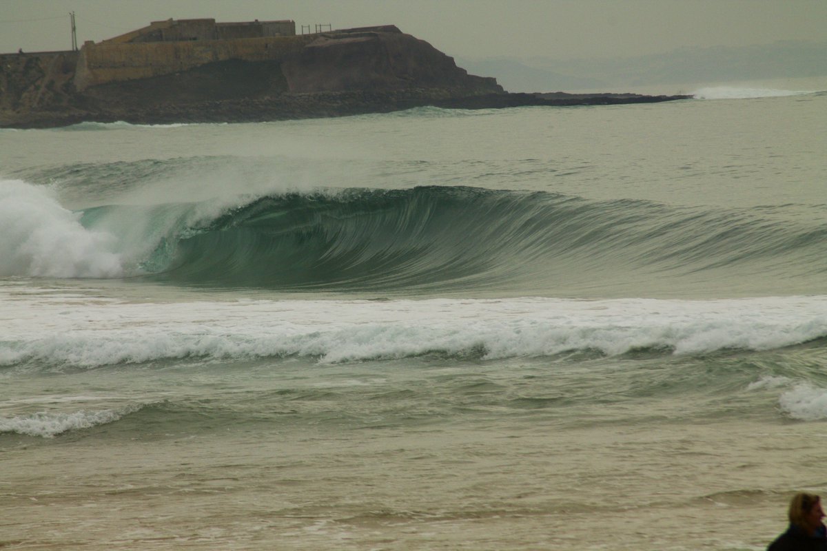 SETT Surf tweet media