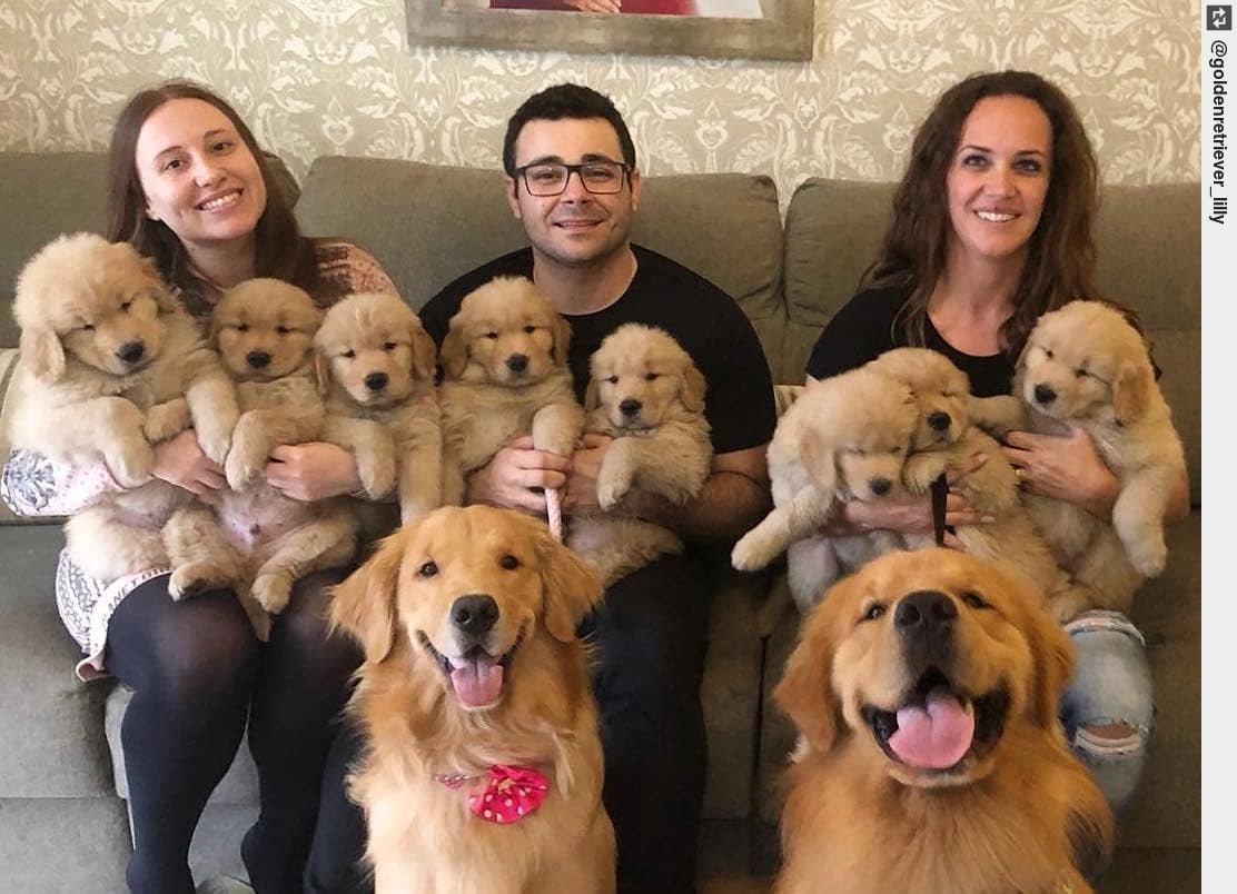 #familygoals 😍😍 - #weeklyfluff #freitagfluff     #puppy #puppies #puppylove