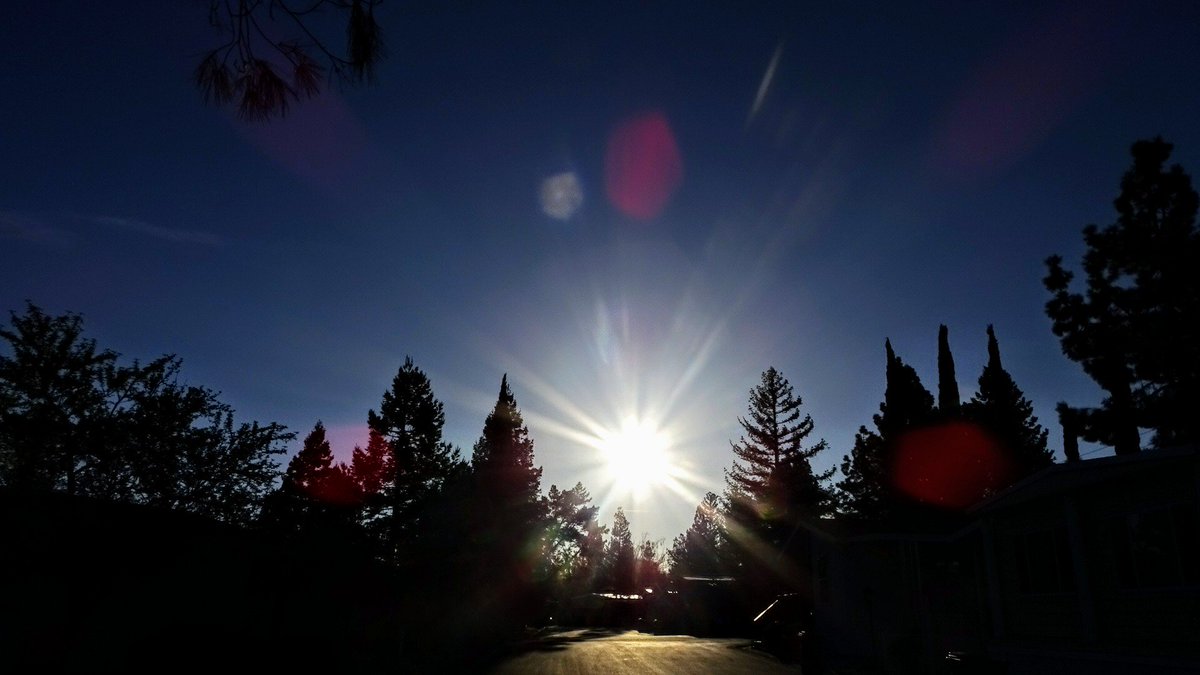 PatrickForcier's tweet image. The Bush, The Sun Rise and an Tree, Follow and DM me to collab, Please RT. #BayAreaPhotographer #PleasantonCA #BayAreaModels