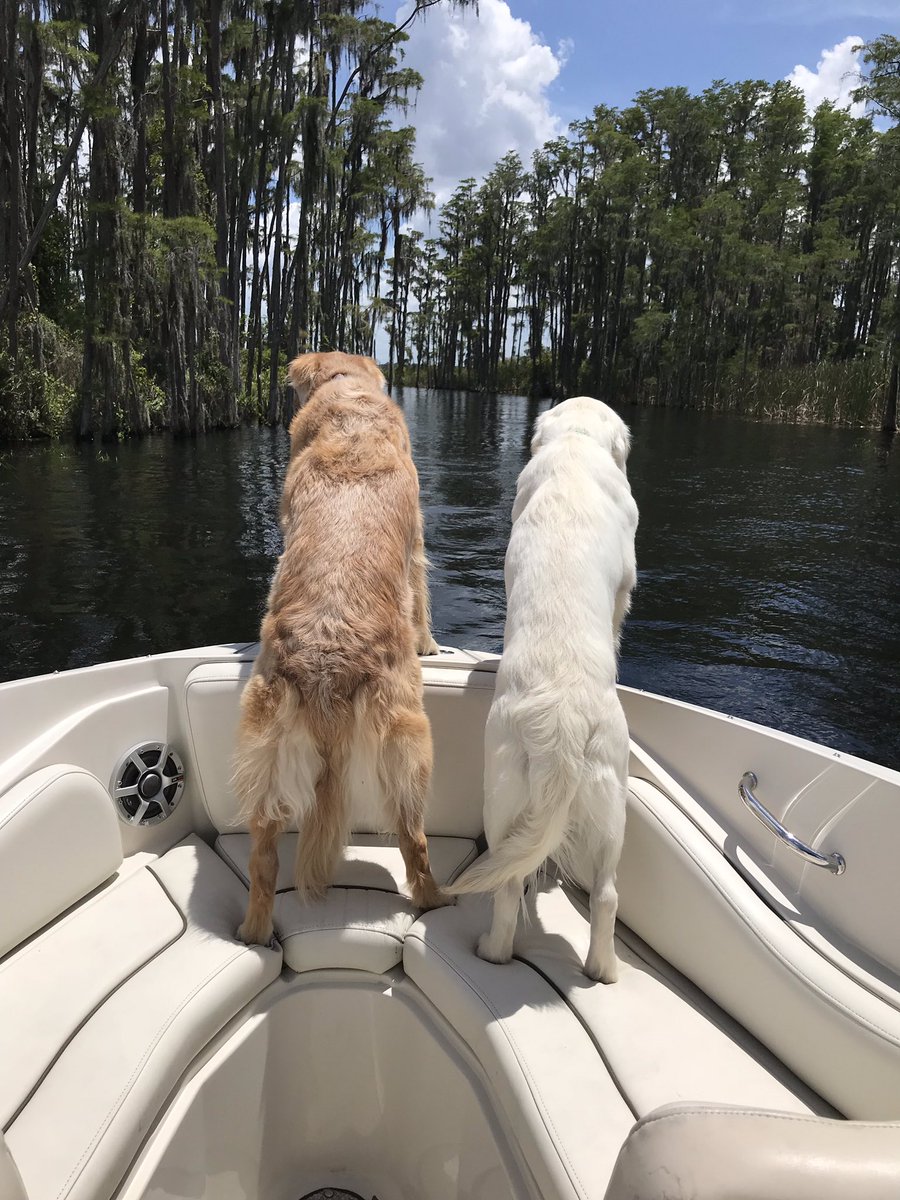 Mike Flaskey tweet media