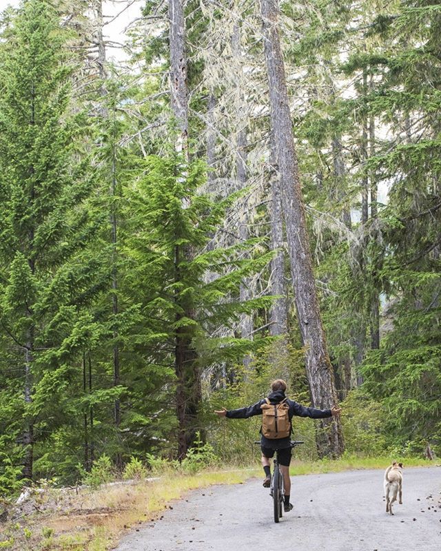 Sunday views from remote, wooded paths with our ambassador, <a href="/Allen_Meyer/">allen meyer</a> and his Yatra Adventure Pack. Where will you journey with a Yatra Adventure Pack?⠀⠀⠀⠀⠀⠀⠀⠀⠀
#WeAreSherpa #YatraCollection ift.tt/2NhOz41