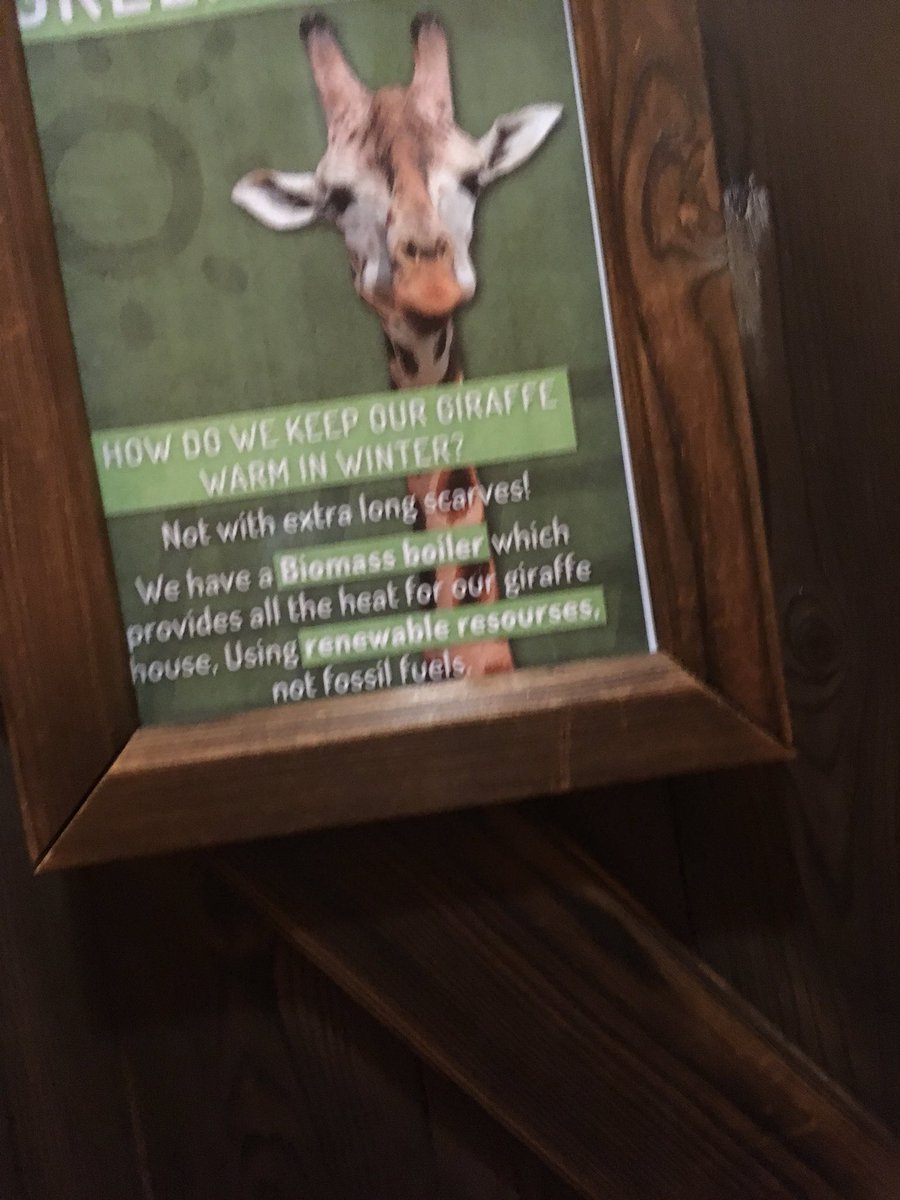 meglansdowne's tweet photo. Bit embarrassing to have a spelling mistake on your signs! @westmidsafari https://t.co/a5wuRNqQge