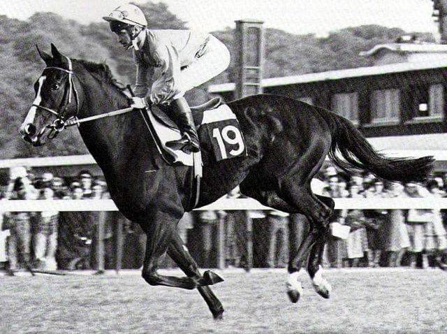 Arc ikonok – zsokék