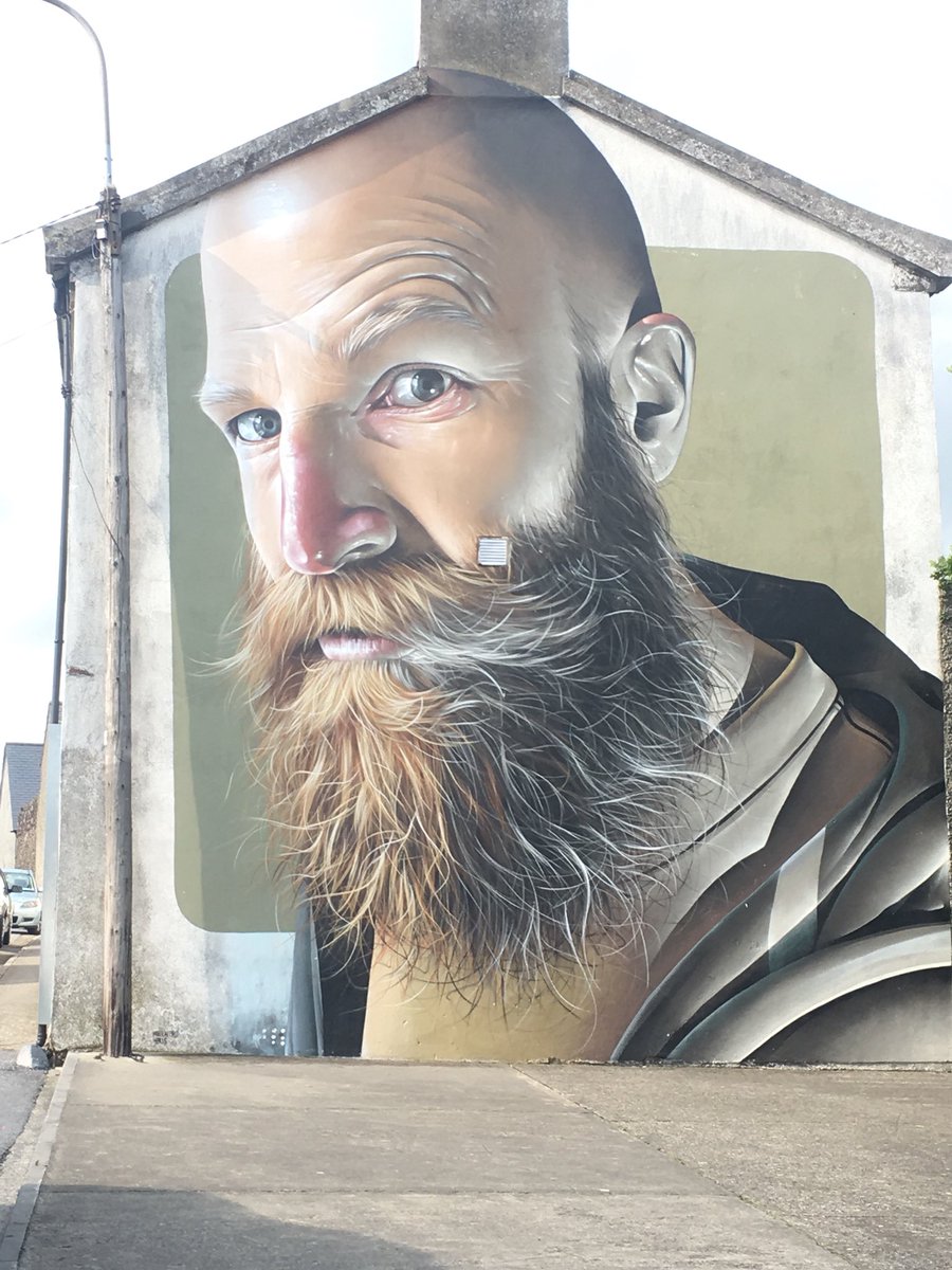 EamoD's tweet photo. Stunning art at #waterfordwalls https://t.co/Brfdnz5LN6