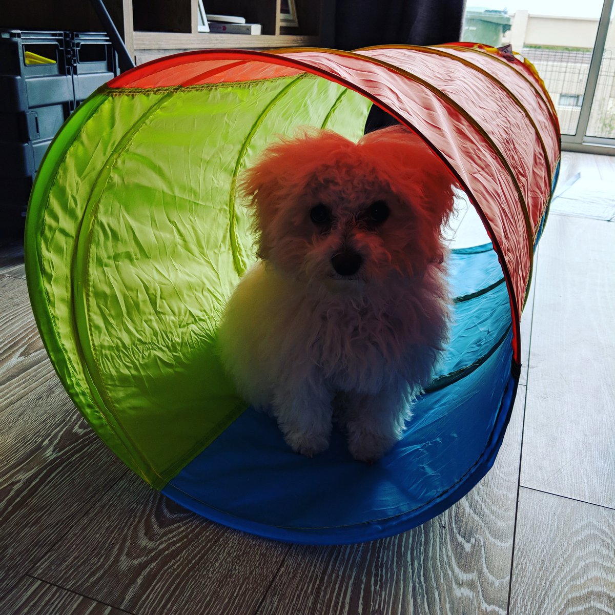 Jamesy778's tweet photo. 00... Ralphy https://t.co/FFMfsoDRtb