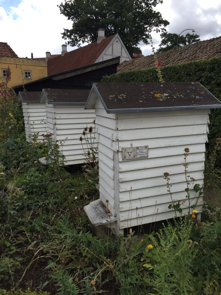 natures_balance's tweet photo. History’s gardens and gardening techniques frozen in an era of the 1920’s  #Aarhus Denmark at  #dengamlebe a highly recommended open air museum. https://t.co/MbCaPaff5U