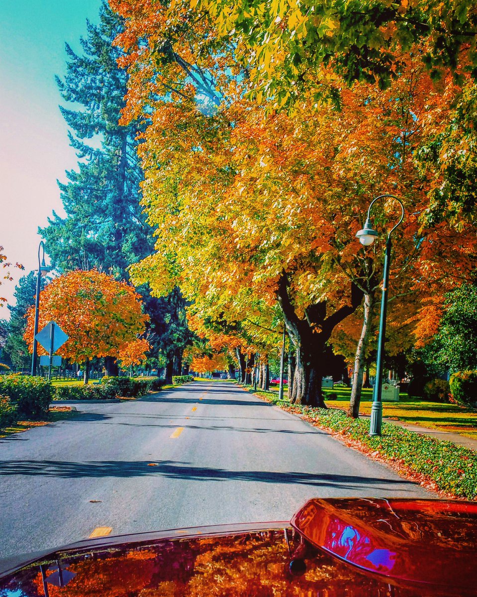 ptstang24's tweet photo. August Sunday Funday feels like Fall coming 😀☁🍁🍃#thecouve #Vancouverusa #portland #PDX #summer #fall https://t.co/qSDf96THLl
