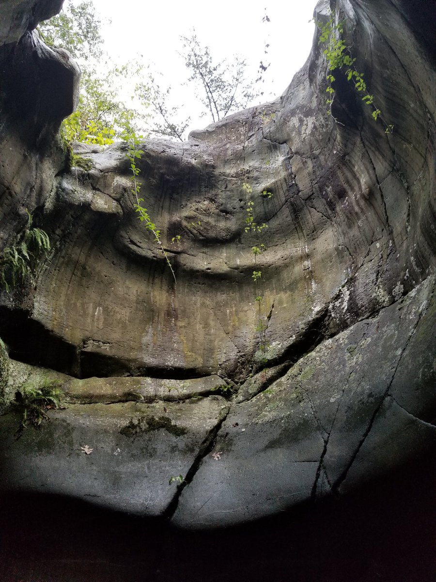 Katy Sullivan tweet media