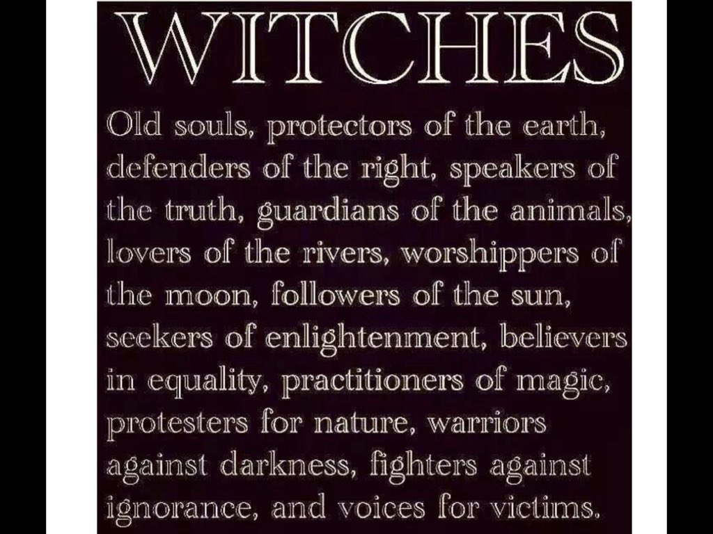 LunaLuvgood2020's tweet image. #GeekForce   #PWP