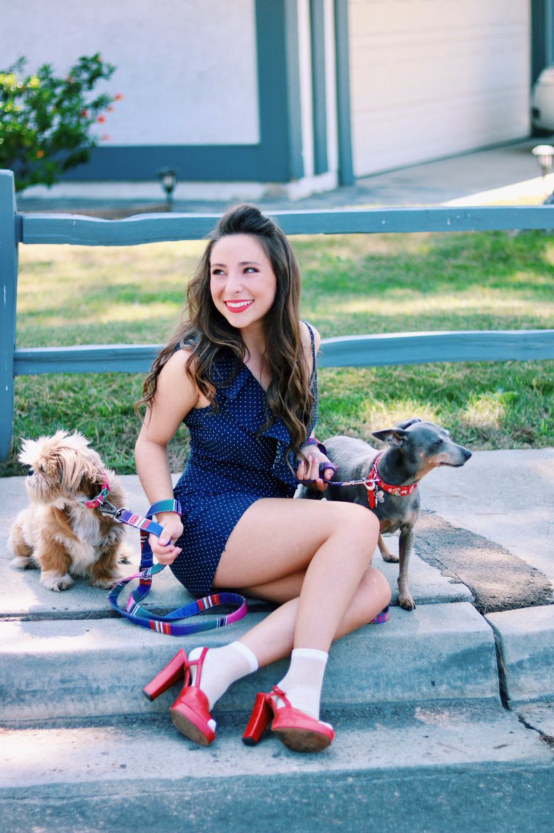 TheAvaCantrell's tweet image. It’s #InternationalDogDay Go rescue a dog! Princess my dog is a @2ndChanceDog and I’m a foster for them as well! I tagged some rescues I’ve joined forces with so check them out! #adoptapuppy #dogrescue #DogLover