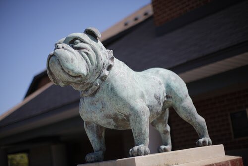 cornell_28's tweet photo. I am blessed and honored to say I will be continuing my academic and lacrosse career at Wingate University #GoDawgs https://t.co/5nZvQN8QkA