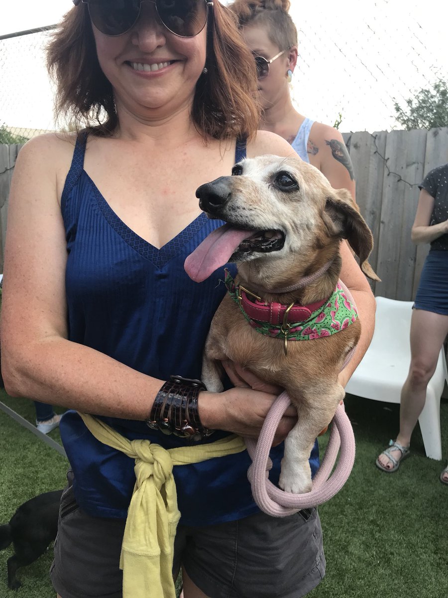 onetailatatime's tweet photo. Itβs #TinyDog500 time! Weβre celebrating the #smol ones today, follow along on Instagram!π
https://t.co/0Yij5SCs65