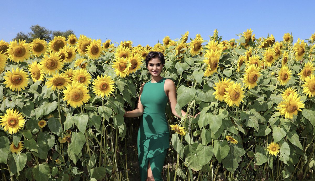 NatashaVermaTV's tweet photo. 🌻🐝 #colbyfarm https://t.co/ry1ZfDKbhz