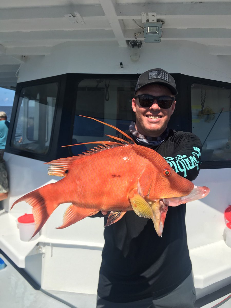 Buy & Sell Custom Fishing Tackle tweet media