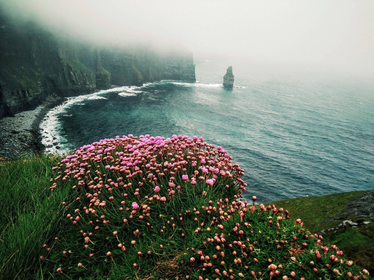 earthescope's tweet image. Cliffs of Moher, Ireland 🇮🇪 | Photography by Mike Block