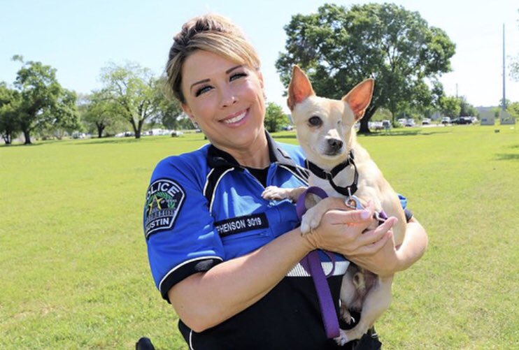 Austin_Police's tweet photo. Happy #NationalDogDay! If you’re looking for a pet please consider adopting from the Austin Animal Center! #AdoptDontShop #APDRescueMe https://t.co/a5sHkr7Oop