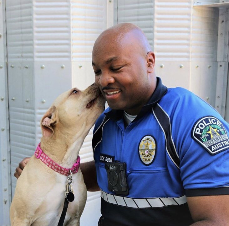 Austin_Police's tweet photo. Happy #NationalDogDay! If you’re looking for a pet please consider adopting from the Austin Animal Center! #AdoptDontShop #APDRescueMe https://t.co/a5sHkr7Oop