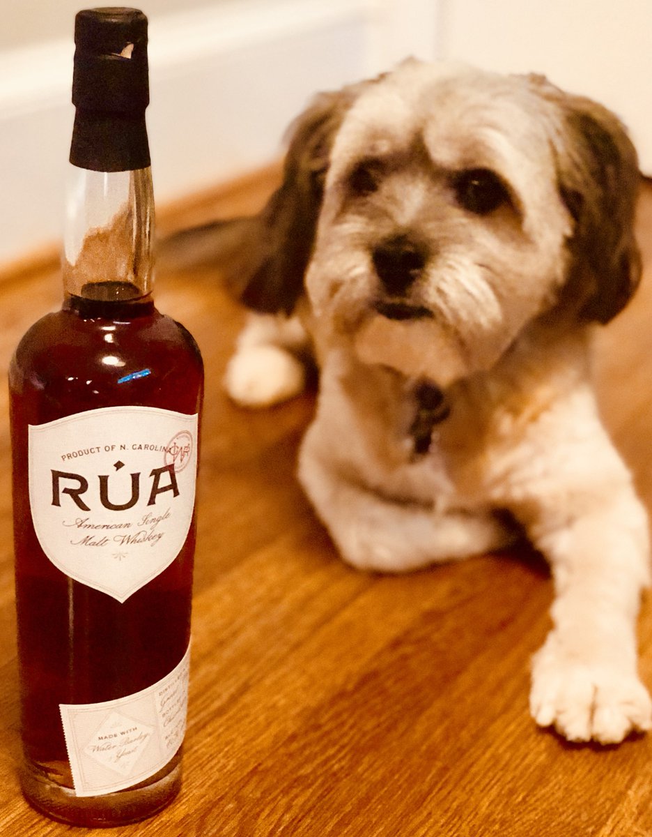 In honour of #NationalDogDay this pupper is contemplating the wonders of good whiskey! Cheers!