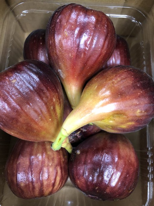 いちじく大福のtwitterイラスト検索結果 古い順