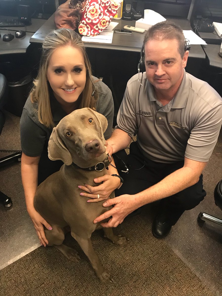 Glendora_PD's tweet photo. It’s #nationaldogday! We paw-sitively enjoyed a visit from this big guy.  What’s something him and the dispatchers have in common?? They both have collar ID. 😂 #thatwasruff #okenoughwiththedogpuns #dispatchwantsastationpuppy https://t.co/hVdnL0AL59