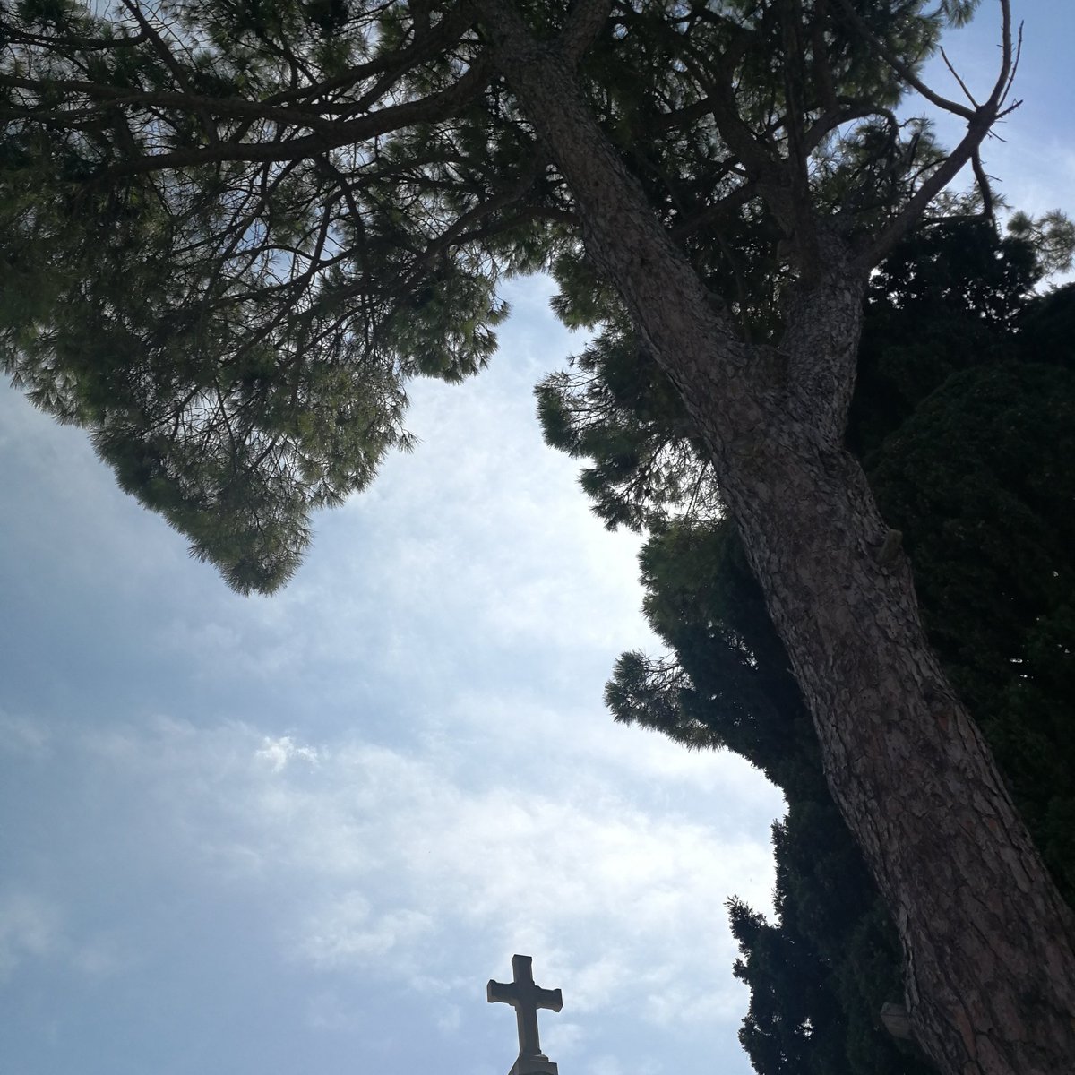 giulianadamato's tweet photo. Una storia a cui tornare sempre.
#alberodivita #croce #crocediCristo #gesudinazareth #jesuschrist #holycross #gesù #jesus #nature #history #love #life #sky #nature #light #nelcentro #inthenameoflove https://t.co/Vc05Sx4sVv