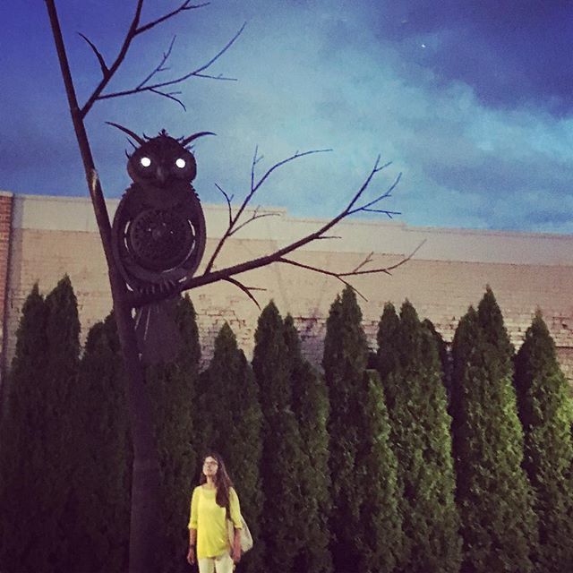 A shot of my wife Joy with my owl installation on a recent trip to Decatur. At night the solar powered eyes light up and watch over the Alabama Center for the Arts #greenart #solarpowered #alabamaartist #assemble_art #owlart #metalart #metalsculpture ift.tt/2weYAIM