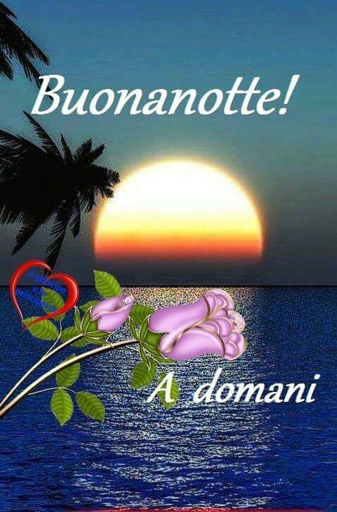 Nel silenzio della notte... Dljs9vkXcAA4wZ2